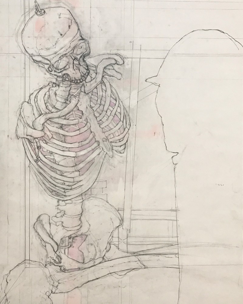 Skeleton Study